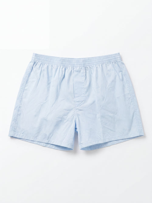 ARCTIC BLUE