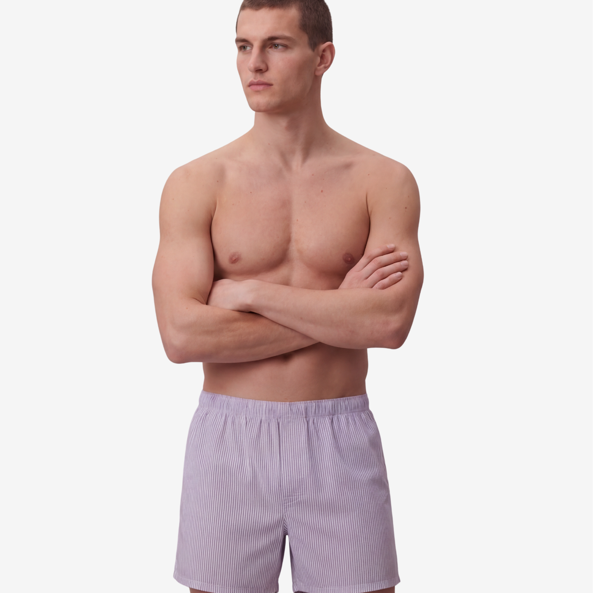 LILAC PINSTRIPE